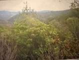 0 Croy Ridge Rd - Photo 4