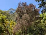 4576 Paul Sweet Rd - Photo 13