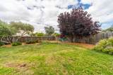 709 San Leandro Cir - Photo 17
