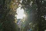 375 Hitch - Photo 63