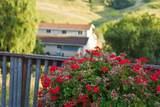 375 Hitch - Photo 65