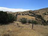 0 New Idria Rd - Photo 11