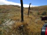 0 New Idria Rd - Photo 14