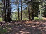 7175 Redwood Retreat - Photo 18