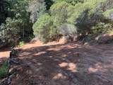 7175 Redwood Retreat - Photo 8
