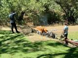 00 Cinnabar Hills Rd - Photo 35