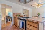 1173 Alicante Dr - Photo 12