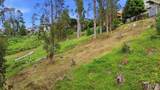 Avenue Portola - Photo 19
