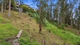 Avenue Portola - Photo 21
