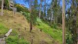 Avenue Portola - Photo 22
