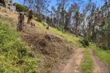 Avenue Portola - Photo 5