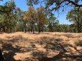 0 Bridle Trail - Photo 3