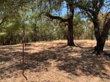 0 Bridle Trail - Photo 4
