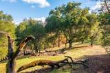 36 Arroyo Sequoia (Lot 117) - Photo 6