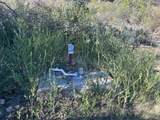 35500 Loma Chiquita Rd - Photo 27