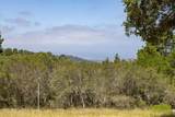 25520 Via Malpaso - Photo 13
