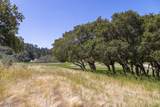 25520 Via Malpaso - Photo 14
