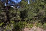 25520 Via Malpaso - Photo 17