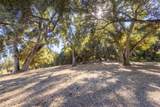 3 Via Vaquera - Photo 11