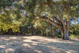 3 Via Vaquera - Photo 12