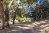 3 Via Vaquera - Photo 13