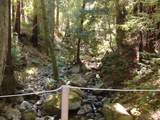 7150 Croy Rd - Photo 71