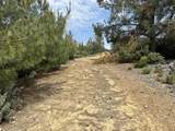 15950 Summit Rd - Photo 13
