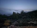 15950 Summit Rd - Photo 16