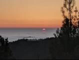 15950 Summit Rd - Photo 9