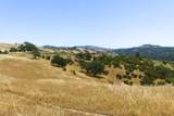 31341 Airline Hwy - Photo 72