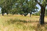31341 Airline Hwy - Photo 77