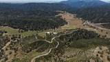 31341 Airline Hwy - Photo 93