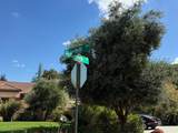 1920 Mantelli Dr - Photo 2