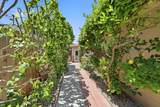 325 San Vincente Ave - Photo 39