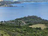 8735 Soda Bay Rd - Photo 1
