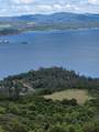 8735 Soda Bay Rd - Photo 3
