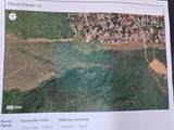 8735 Soda Bay Rd - Photo 9