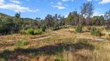 16416 Lower Springs Rd - Photo 18