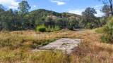 16416 Lower Springs Rd - Photo 4