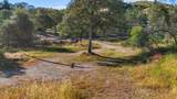 16416 Lower Springs Rd - Photo 9
