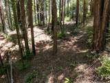 Lot 17 Branson Rnch - Photo 37