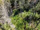 Lot 17 Branson Rnch - Photo 41
