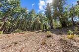 0000 Native Sons Rd - Photo 24