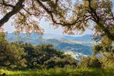 52 Chamisal Pass (Lot 136) - Photo 5