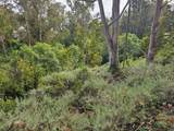 Verde Rd - Photo 5