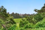 348 Spyglass Way - Photo 47