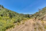 San Benancio Rd - Photo 18