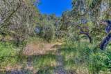 San Benancio Rd - Photo 21