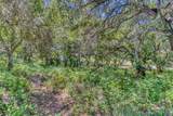 San Benancio Rd - Photo 4