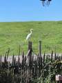 2375 Old Calaveras Rd - Photo 21